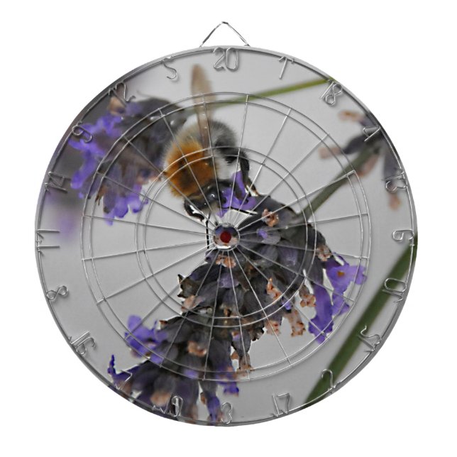 Natures Wonderful Workers Dartboard With Darts (Front)