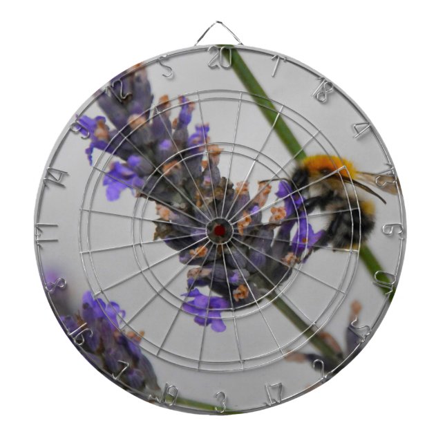 Natures Wonderful Workers Dartboard With Darts (Front)