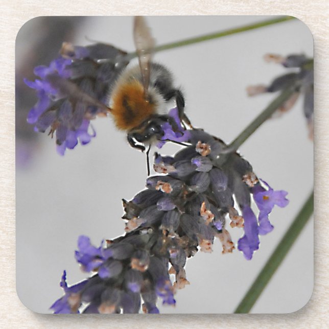 Natures Wonderful Workers Drink Coaster (Front)