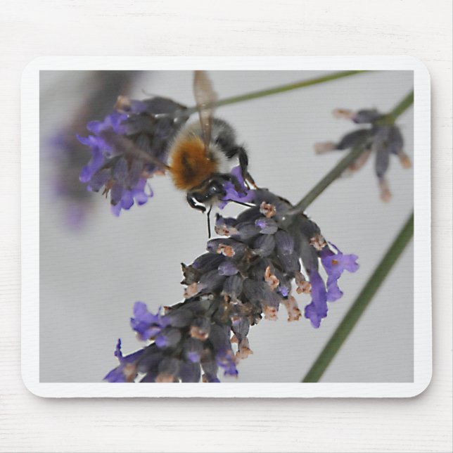 Natures Wonderful Workers Mouse Pad (Front)