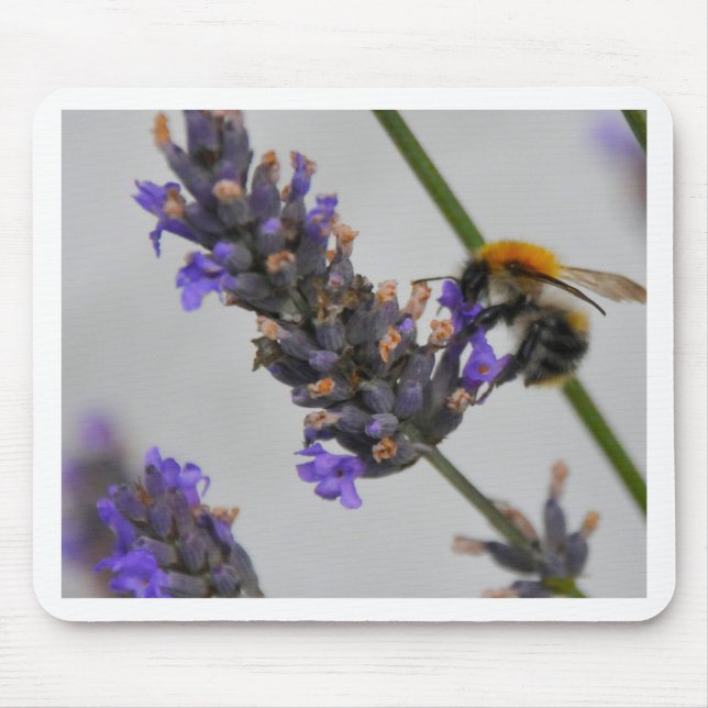 Natures Wonderful Workers Mouse Pad (Front)