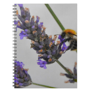 Natures Wonderful Workers Notebook