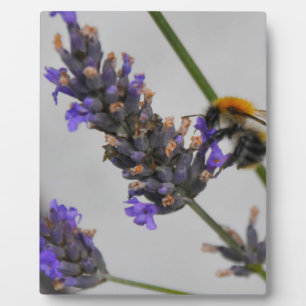 Natures Wonderful Workers Plaque