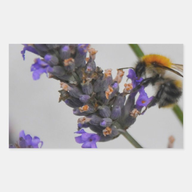 Natures Wonderful Workers Rectangular Sticker (Front)