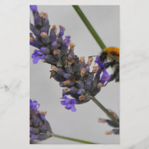 Natures Wonderful Workers Stationery