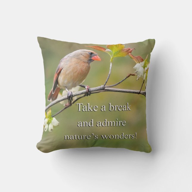 Nature's Wonders Throw Pillow (Front)