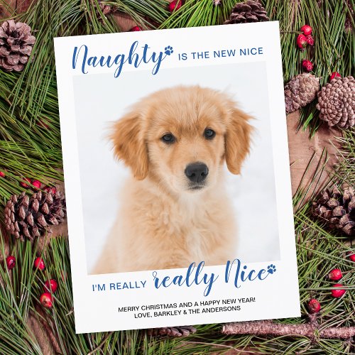 Naught Nice Funny Blue Buffalo Plaid Pet Photo Holiday Postcard