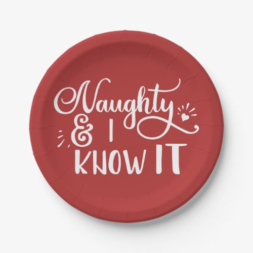naughty and I know it Funny Christmas Paper Plates