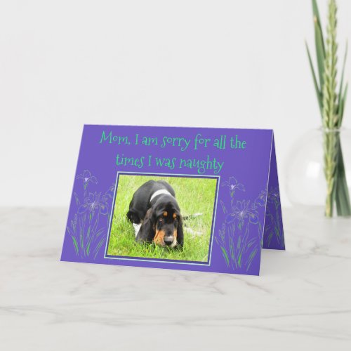 Naughty Basset Hound On Funny Mothers Day Card