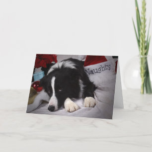 Naughty BC Merry Christmas Holiday Card