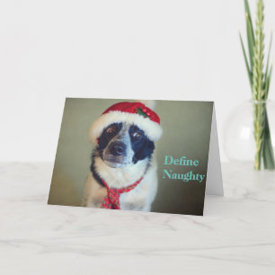 Naughty Border Collie Christmas card