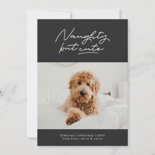 Naughty but cute funny Christmas pet photo card