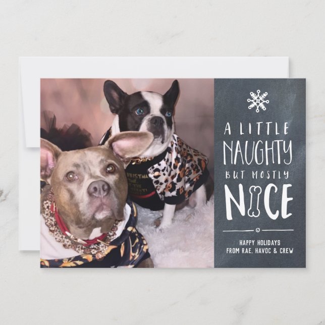 Naughty But Nice | Pet Photo Holiday Card (Front)