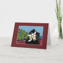 Naughty Cat & Christmas Angel | Christmas Card