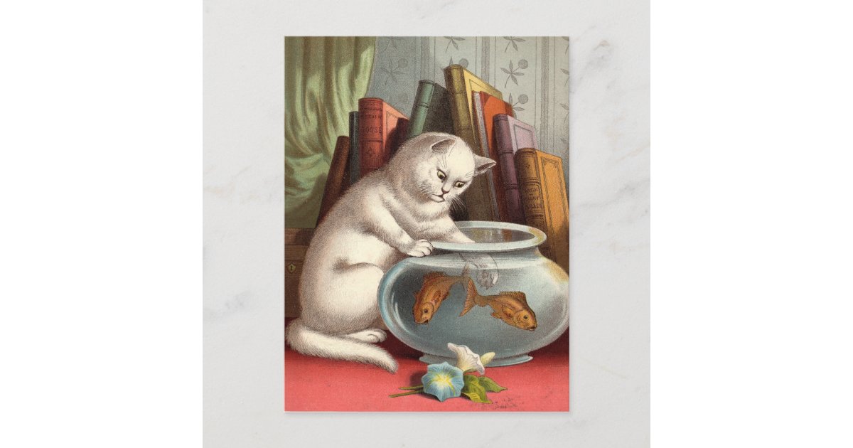 Naughty Cats postcards | Zazzle