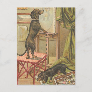 Naughty Dachshunds Postcard