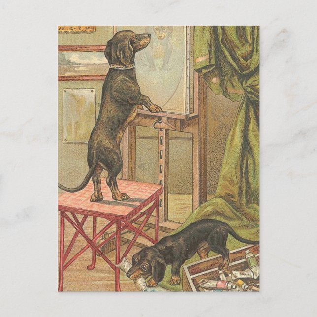 Naughty Dachshunds Postcard (Front)