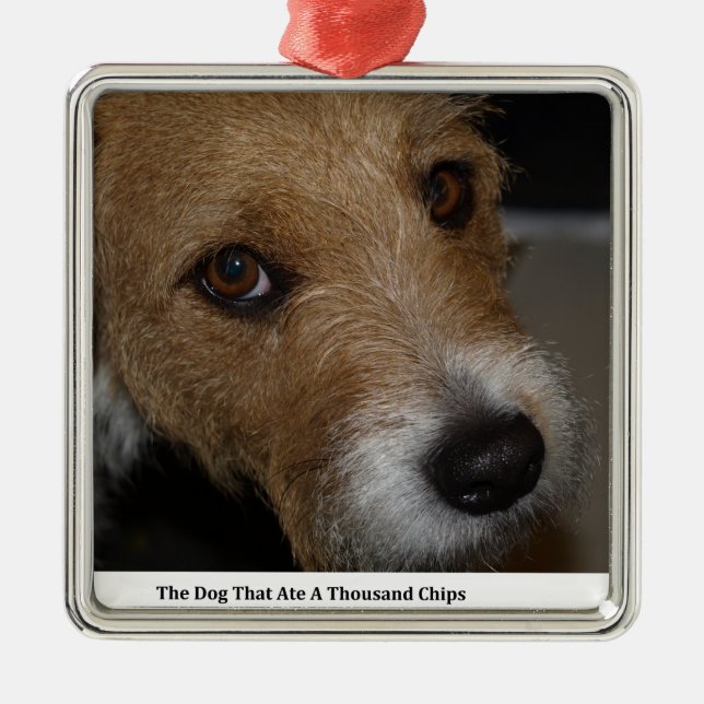 Naughty Dog Ate The Chips Bad Dog Ate The Cheese Metal Ornament (Front)