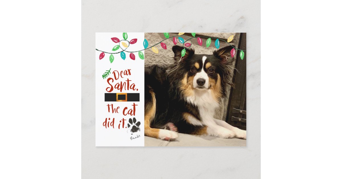 How Did Naughty Dog Get Their Name