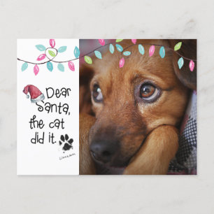 Naughty Dog Funny Dear Santa Letter Photo Dog Name Holiday Postcard