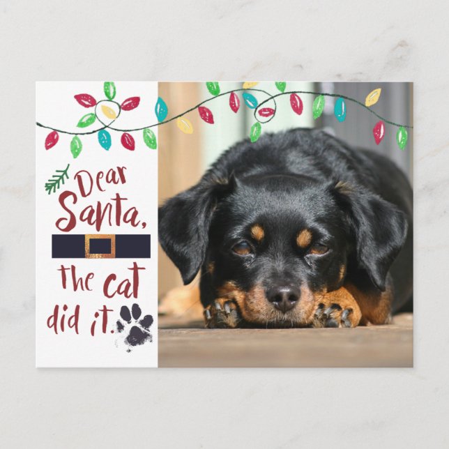 Naughty Dog Funny Dear Santa Letter | Photo Holiday Postcard (Front)
