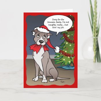 Naughty Dog Funny Santa Pit Bull Christmas Holiday Card by Raphaela_Wilson at Zazzle