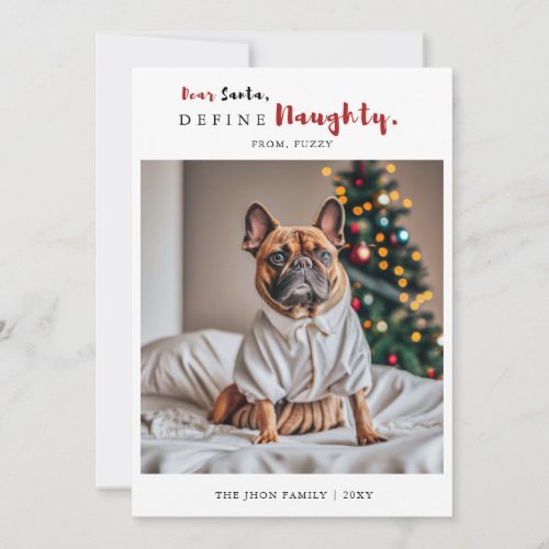 Naughty Funny Dog Photo Calligraphy Christmas Holiday Card
