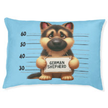 Naughty German Shepherd