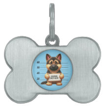 Naughty German Shepherd