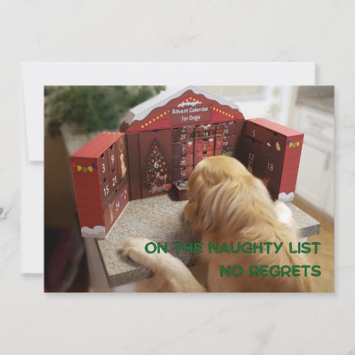 Naughty Golden Retriever No Regrets Christmas Card