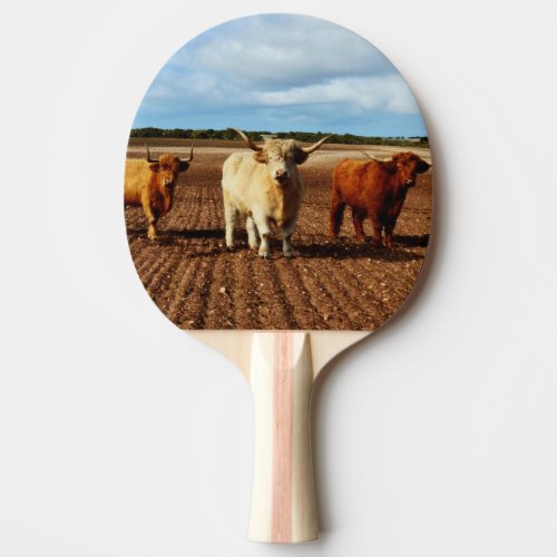 Naughty Highland Cows Ping Pong Paddle