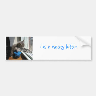Naughty Kitten Bumper Sticker