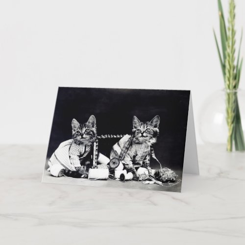 Naughty Kittens Note Card