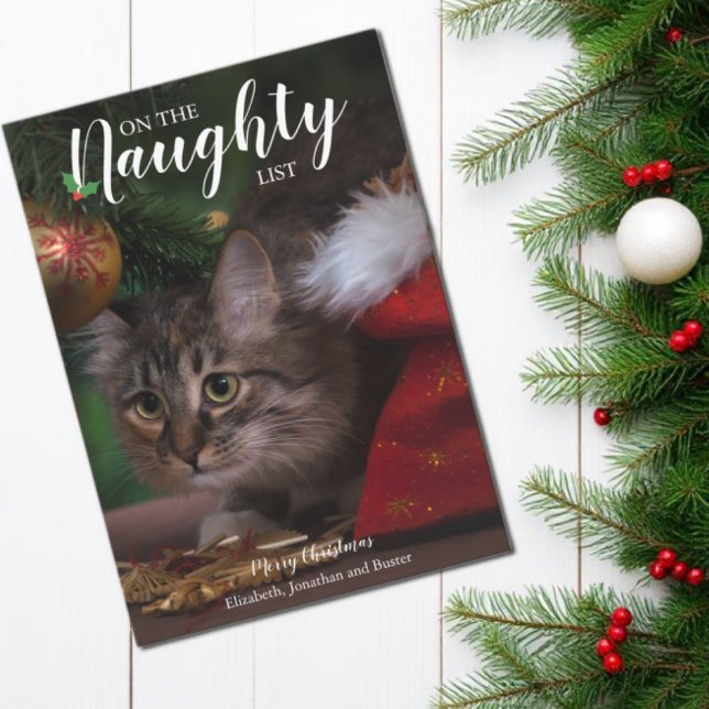 Naughty List Christmas Pet Photo Holiday Card (Creator Uploaded)