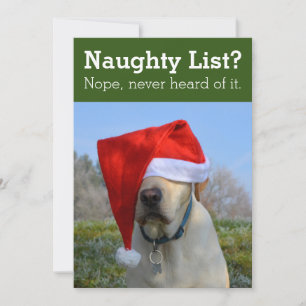 Naughty List? Nope never heard of it funny photo H Holiday Card
