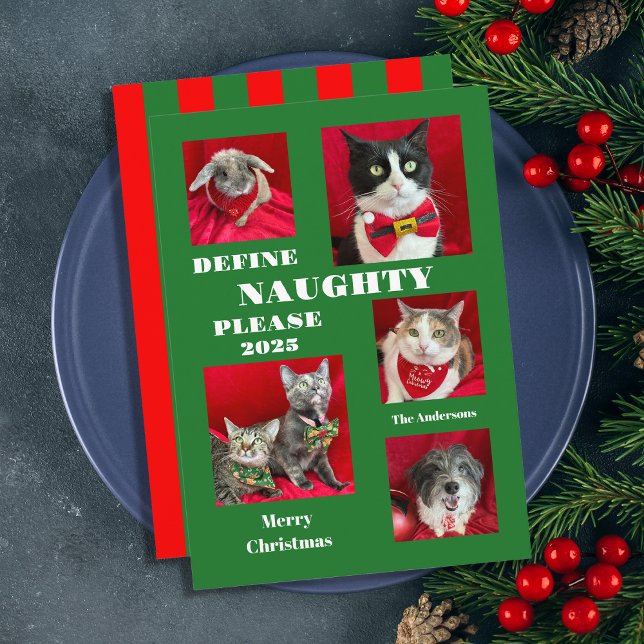 Naughty List Pet Photo Christmas Flat Card (Creator Uploaded)