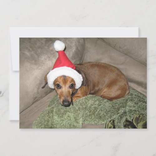 Naughty list _ Reluctant Santa Dachshund Holiday Card