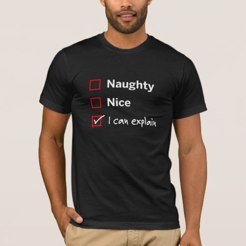 Naughty Nice _ I Can Explain T_Shirt