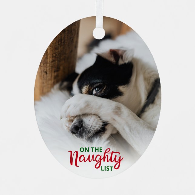 Naughty Nice List 2 Photo Dog Metal Ornament (Front)