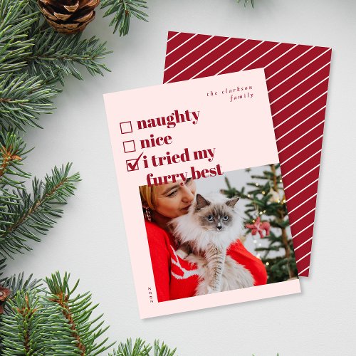 Naughty Nice Tried my Furry Best Holiday Card