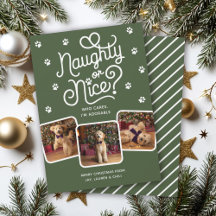 Naughty or Nice Funny Cute Pet Dog Cat 3 Photo 