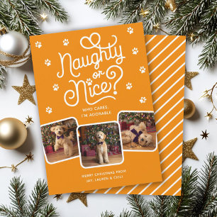 Naughty or Nice Funny Cute Pet Dog Cat 3 Photo Holiday Card