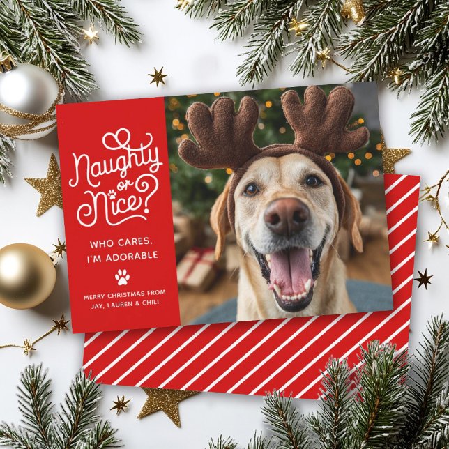 Naughty or Nice Funny Cute Pet Dog Cat Photo Holiday Card (Creator Uploaded)