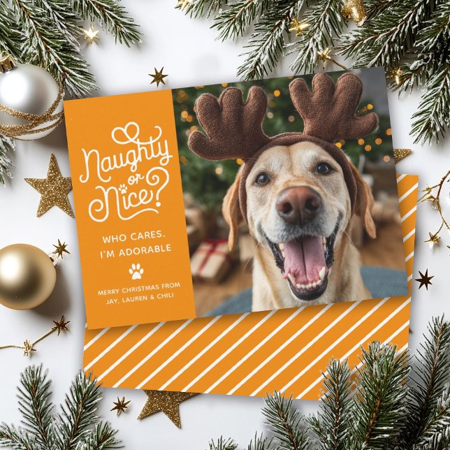 Naughty or Nice Funny Cute Pet Dog Cat Photo Holiday Card (Creator Uploaded)