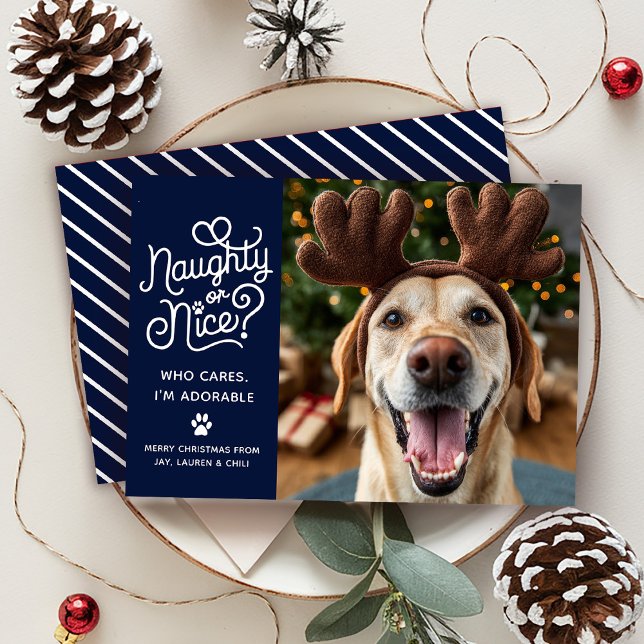 Naughty or Nice Funny Cute Pet Dog Cat Photo Holiday Card (Creator Uploaded)