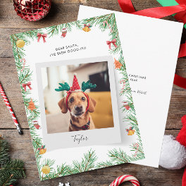 Naughty or Nice Funny Pet Dog Custom Christmas Holiday Card