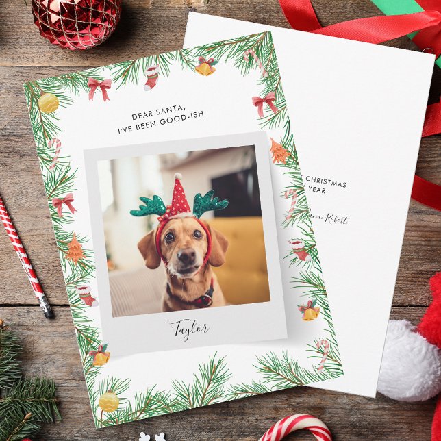 Naughty or Nice Funny Pet Dog Custom Christmas Holiday Card (Pet Dog Photo Christmas Greetings Card)