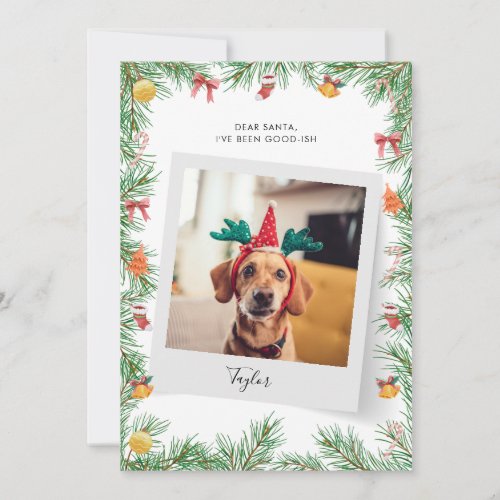 Naughty or Nice Funny Pet Dog Custom Christmas Holiday Card