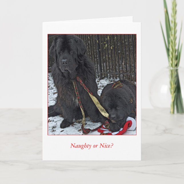 Naughty or Nice? Holiday Card (Front)