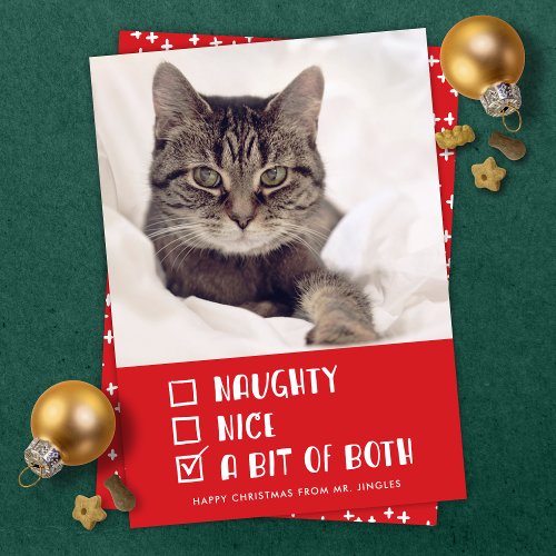 Naughty OR Nice OR Both Funny Pet Holiday Photo